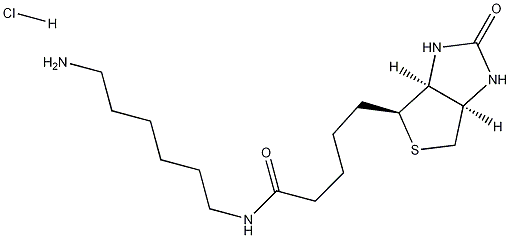 N-Biotinyl-1,6-hexanediamine Hydrochloride Structural