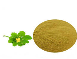 100% celandine extract/ Chelidonine 90% 