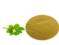 100% celandine extract/ Chelidonine 90% 