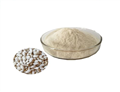 White Kidney Bean Extract Phaseolin 