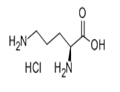 L(+)-Ornithine hydrochloride