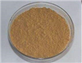 Natural Plant Extract White Peony Extract Powder Paeoniflorin 8% 