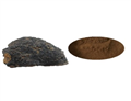 Health Supplement Dual Extract Chaga Mushroom Extract Powder 