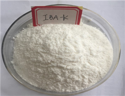 Potassium indolebutyric acid