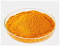 Coenzyme Q10