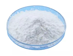 n,n'-ethylenebisacrylamide