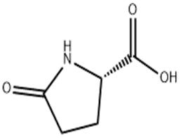 L-Pyroglutamic acid