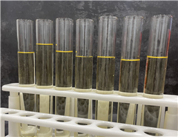 2-bromo-1-phenylhexan-1-one