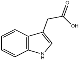 Indole-3-acetic acid