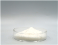 Procaine Hydrochloride