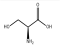 L-Serine manufactuere 