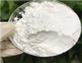 Purified Terephthalic Acid Pta