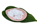 Lidocaine base