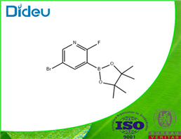 5-BROMO-2-FLUORO-3-(4,4,5,5-TETRAMETHYL-[1,3,2]-DIOXABOROLAN-2-YL)PYRIDINE 