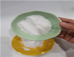 Andrographis Paniculata Extract