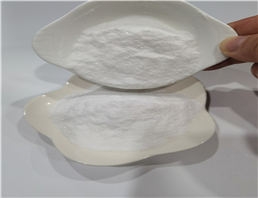 Bucladesine sodium salt