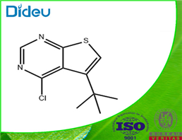 5-TERT-BUTYL-4-CHLORO-THIENO[2,3-D]PYRIMIDINE