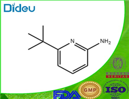 2-Pyridinamine,6-(1,1-dimethylethyl)-(9CI)