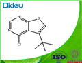 5-TERT-BUTYL-4-CHLORO-THIENO[2,3-D]PYRIMIDINE