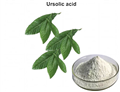 Ursolic Acid