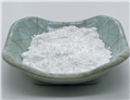 Tiletamine Hydrochloride