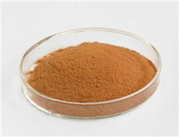 Siberian Ginseng P.E. Eleutheroside(B+E)1.5%HPLC