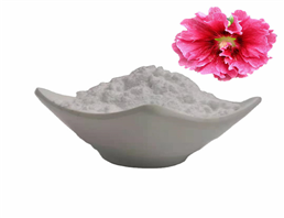 gigawhite