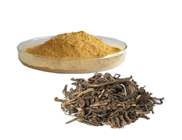 Folium Isatidi P.e 98% Indirubin Isati Leaf Extract