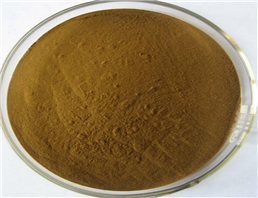 100% natural andrographis paniculata p.e extract kalmegh extract 10:1