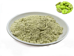 green coffee beans extract