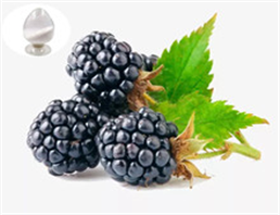 RESVERATROL