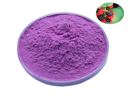 mulberry extract