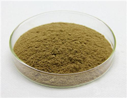 Macleaya Cordata Extract Chelerythrine