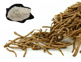 Scutellaria Baicalensis Root Extract