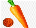 carrot EXTRACT