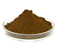 Nettle extract powder