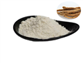 Scutellaria Baicalensis Root Extract