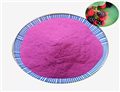 mulberry extract