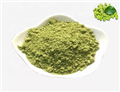 green coffee beans extract