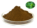 Nettle extract powder