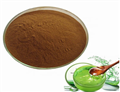Aloe vera extract