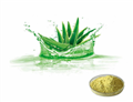 Aloe vera extract