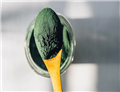 organic spirulina powder