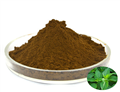 Nettle extract powder