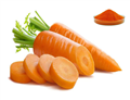 carrot EXTRACT