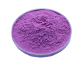 mulberry extract