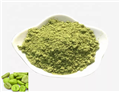 green coffee beans extract