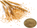 malt extract