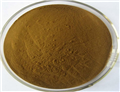 100% natural andrographis paniculata p.e extract kalmegh extract 10:1