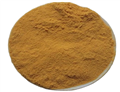 Caffeic acid